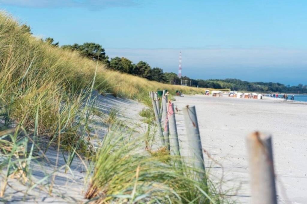 Ferienhaus Sanddorn Breege- Zwischen Bodden & Meer Ngoại thất bức ảnh